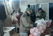 VENTA IRREGULAR DE GANADO EN GOYA: UN CARNICERO QUEDÓ BAJO INVESTIGACIÓN Y DOS PRODUCTORES FUERON MULTADOS