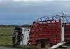 ALERTA EN LA AUTOVÍA 14: UN ACCIDENTE GENERÓ PREOCUPACIÓN POR POSIBLES ANIMALES SUELTOS