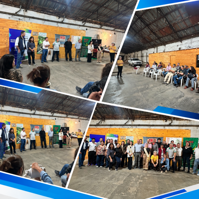 Collage de encuentro comunitario en el galpón (1)